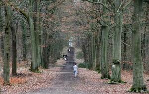 Marche nordique au Chêne d'Antin
